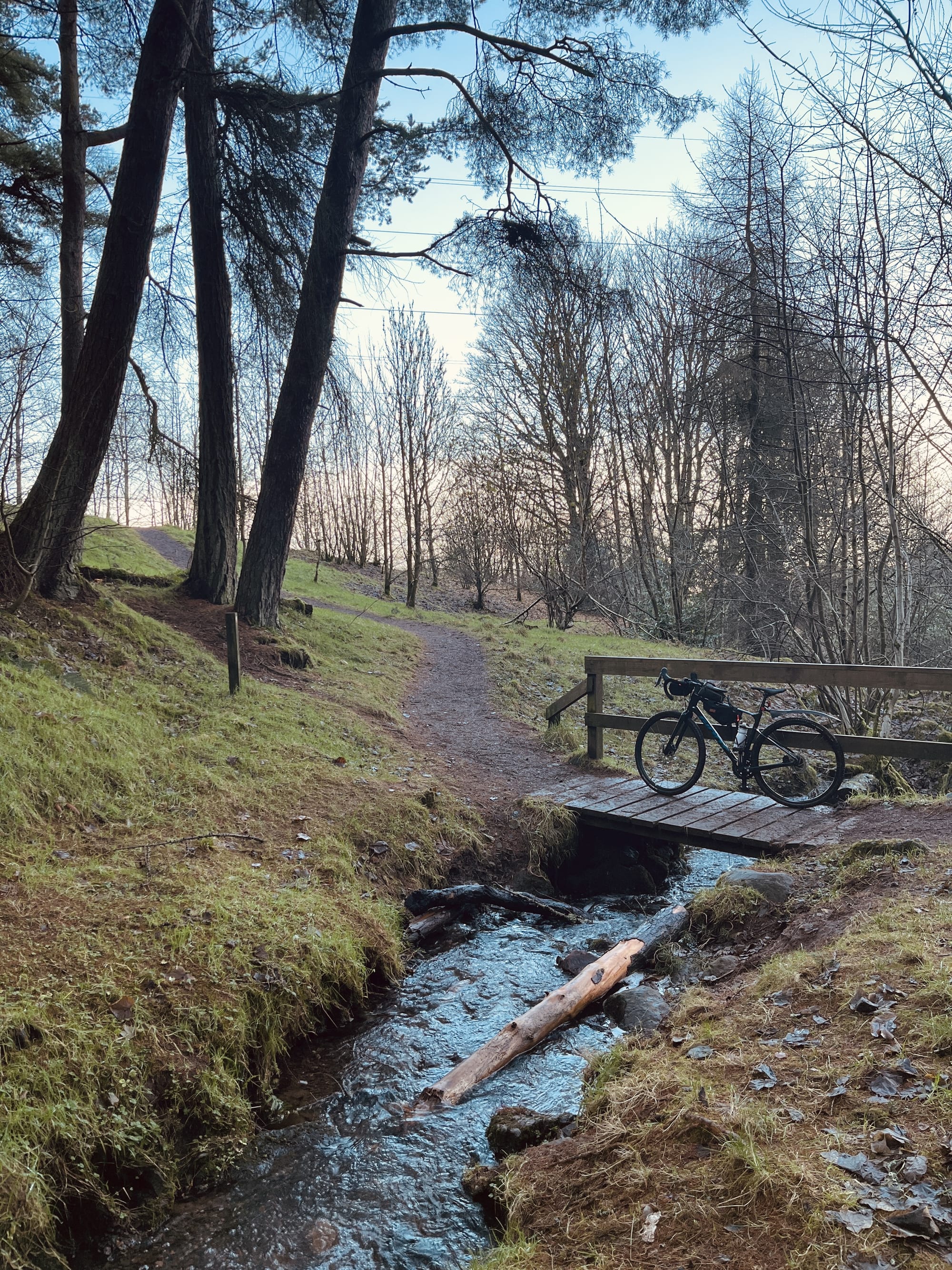 A gravel bike on a small bridge over a stream within a wood and a gravel path