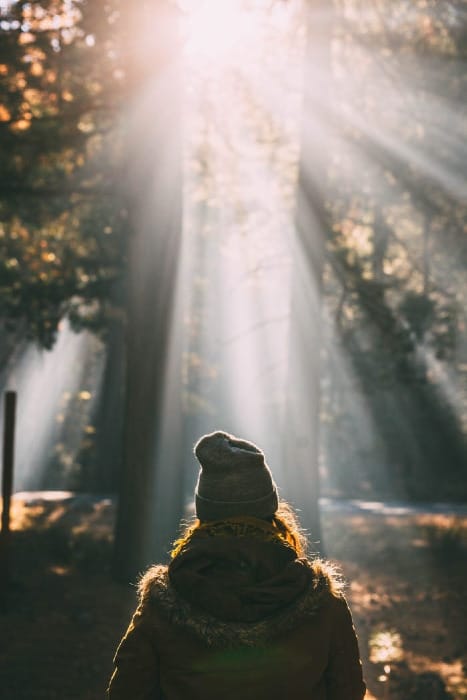 The back of a person, wearing coat and beanie hat, looking at trees that has sun rays shining between them.