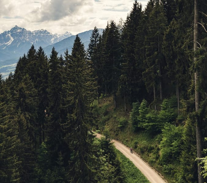 Cycling and nature: how they complement each other perfectly